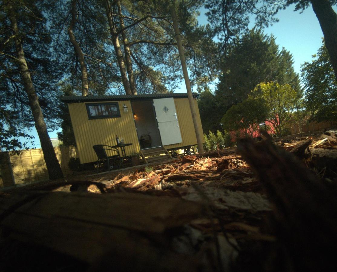 Forest Heath Shepherd'S Huts Ringwood Exterior photo