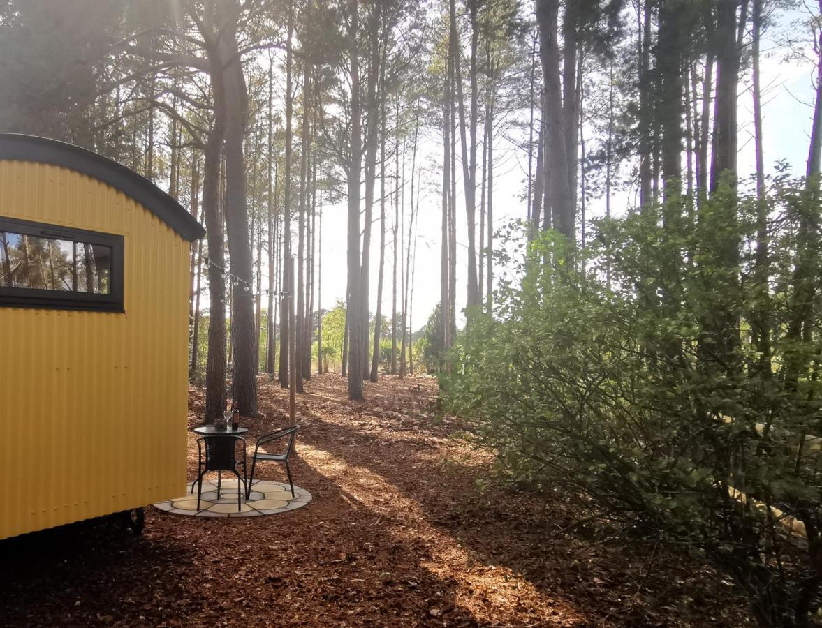 Forest Heath Shepherd'S Huts Ringwood Exterior photo