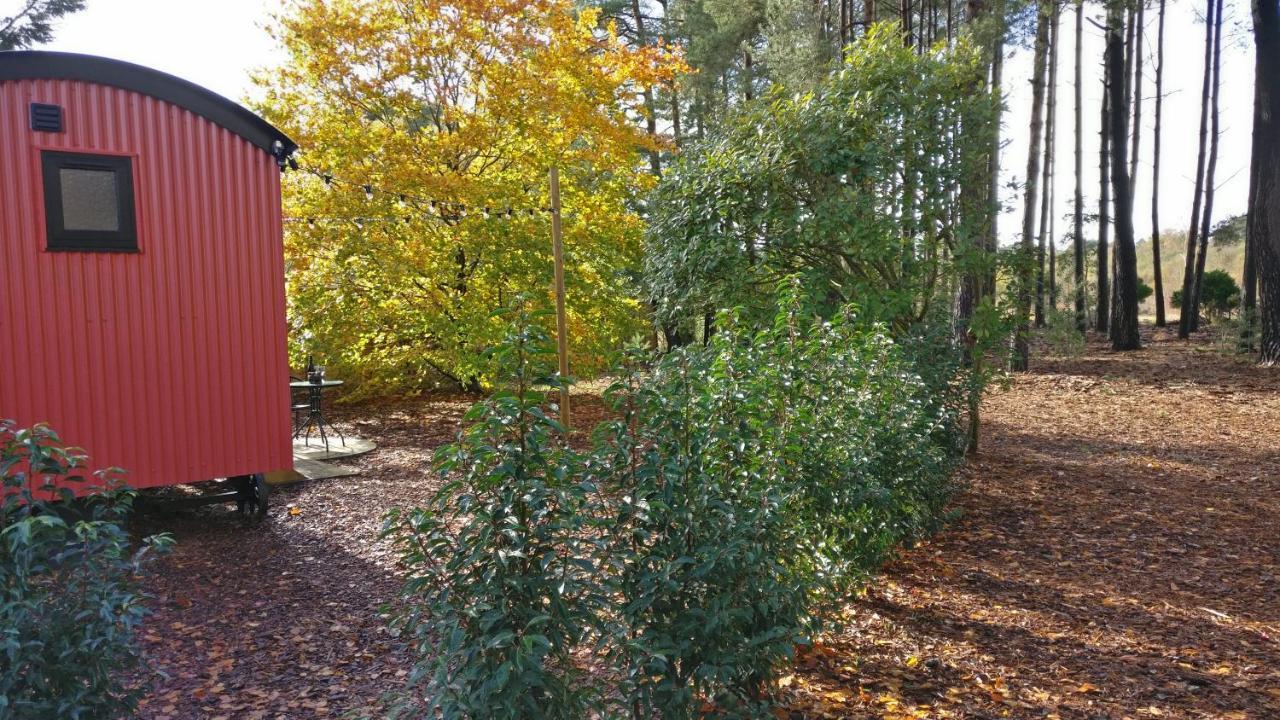 Forest Heath Shepherd'S Huts Ringwood Exterior photo