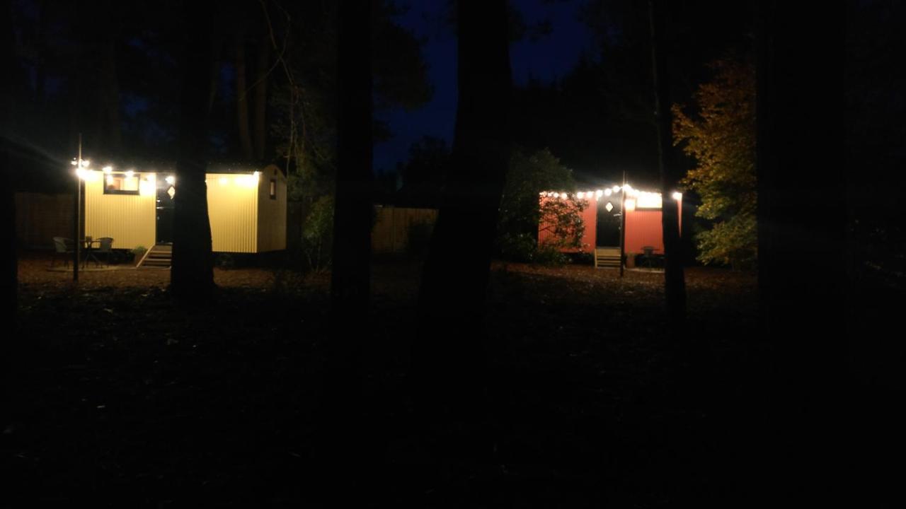 Forest Heath Shepherd'S Huts Ringwood Exterior photo
